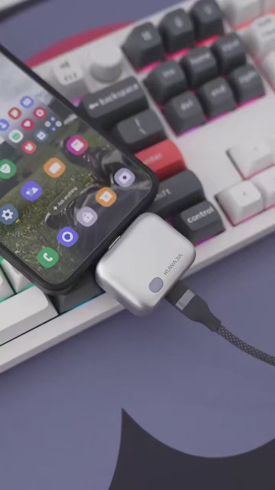 AutoStop Automatic Disconnect Charger USB-C